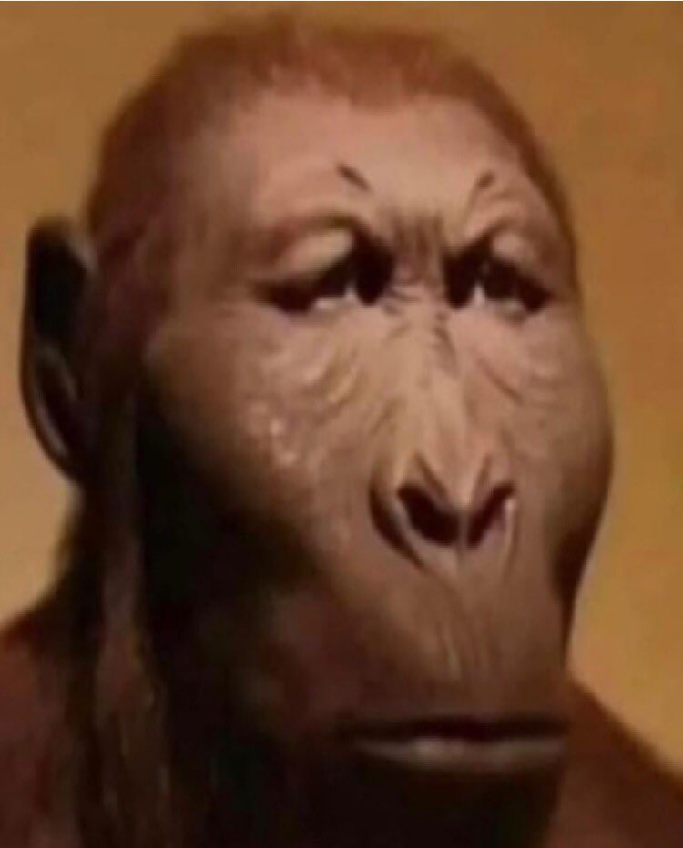 DRK 桜島 tweet media