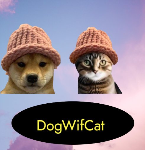 DogwifCat tweet media