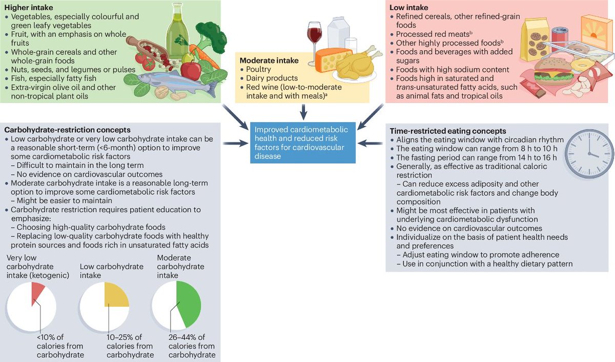 SeguraCardio's tweet photo. 📌Dietary patterns to promote cardiometabolic health
Check this out‼️👇
#CardioEd #CardioPrev #HealthyDiet https://t.co/gwfiOtPSQ7