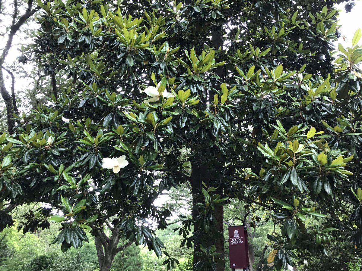 Natalie Tal Harries tweet media