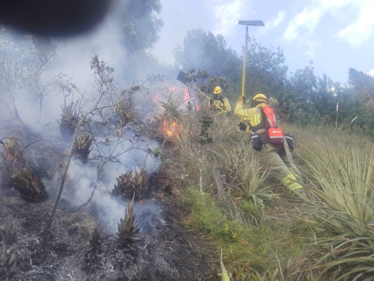 🚨Personal de Bomberos Saraguro🚨

Se mantiene combatiendo el incendio forestal 🔥🌲🌵en el Sector de Cañaro Alto de la parroquia Urdaneta. 

#Urdaneta
#paquishapa
#BomberoSaraguro
#Saraguro
#Loja