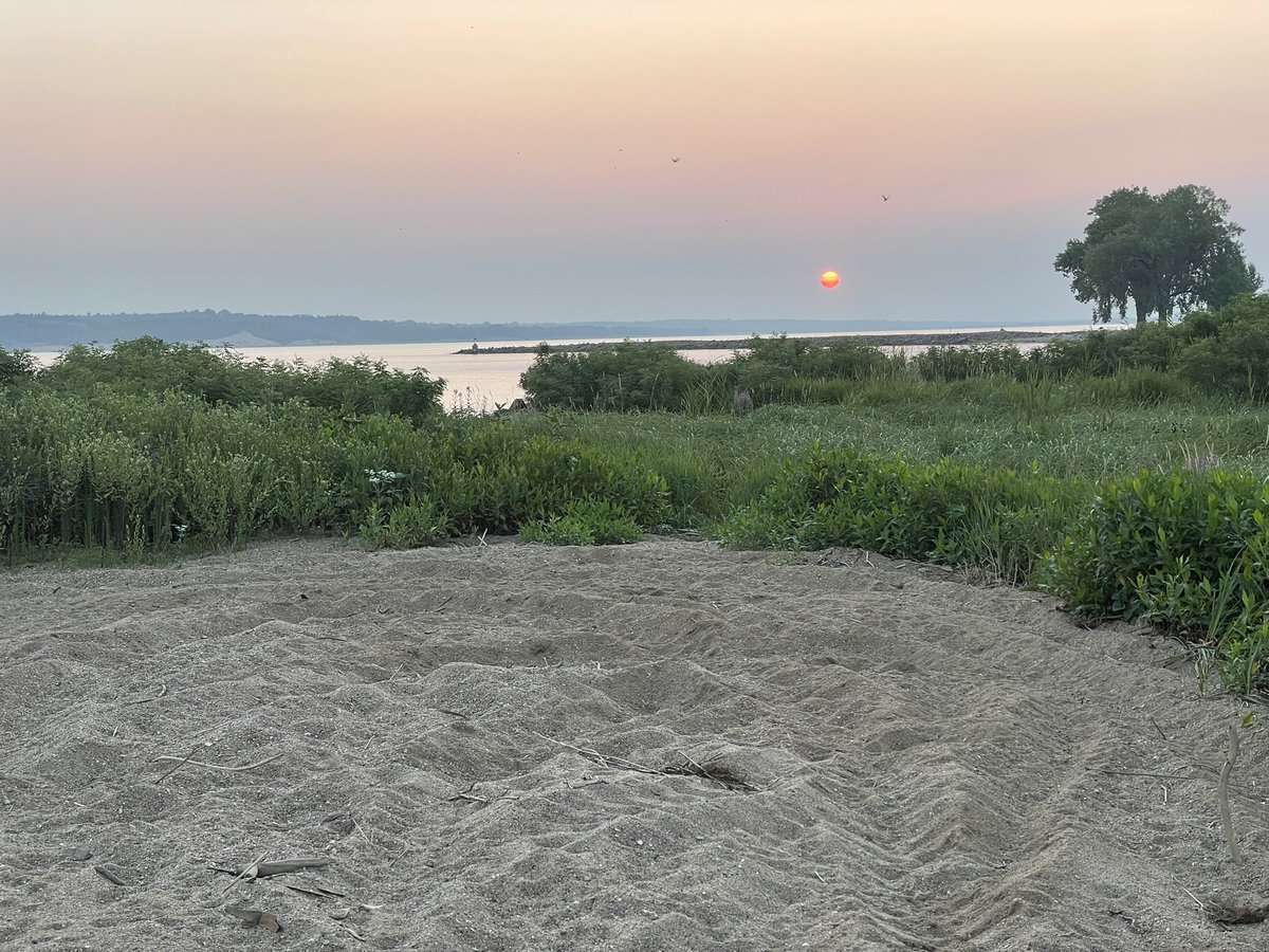 View from the starting line. #halfcrazy #damright