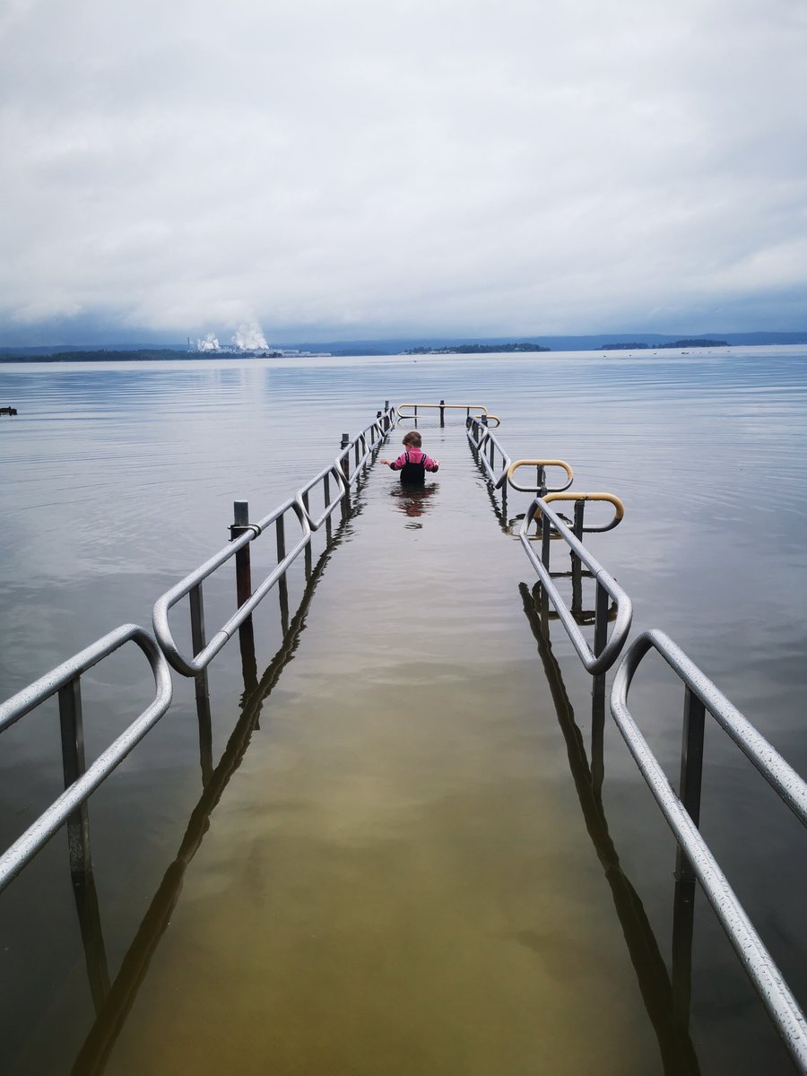 Fredrik Tegbäck tweet media