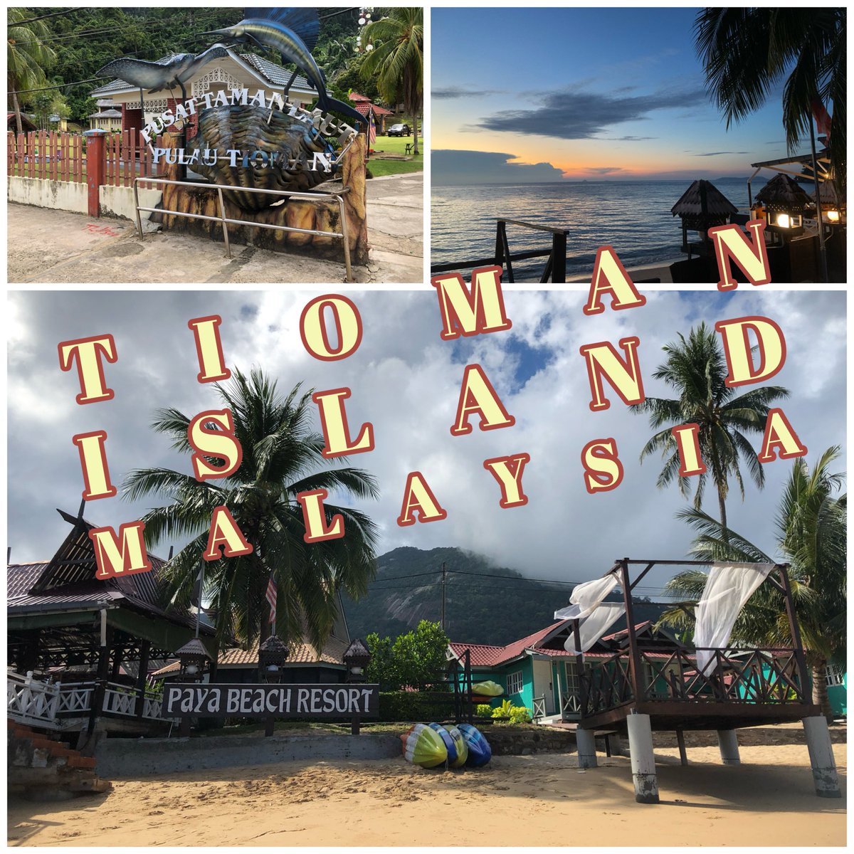 getridz's tweet photo. TIOMAN ISLAND MALAYSIA ADVENTURE https://t.co/Fwdg8yHQ0U via @YouTube https://t.co/eEyExczlAa