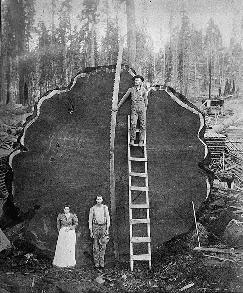 99blackbaloons's tweet photo. A civilisation who focuses on short-lived benefits at the expense of long term consequences, can only be short-lived itself   ☠️☠️☠️
#amwriting https://t.co/kRba4zpKj5