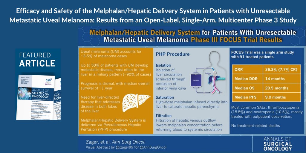 SocSurgOnc's tweet image. This @AnnSurgOnc #FeaturedArticle features a study on Melphalan treatment that shows promise for unresectable liver metastases in uveal melanoma, with favorable efficacy and safety. 

Read more: ow.ly/GqrT50SLeVs #SurgOnc