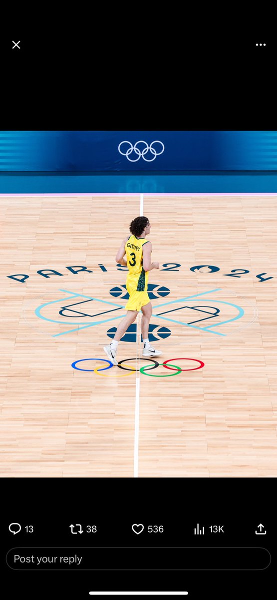 cubes67's tweet image. What is the significance of the dick and balls in the Centre of the court? @Olympics @wwos