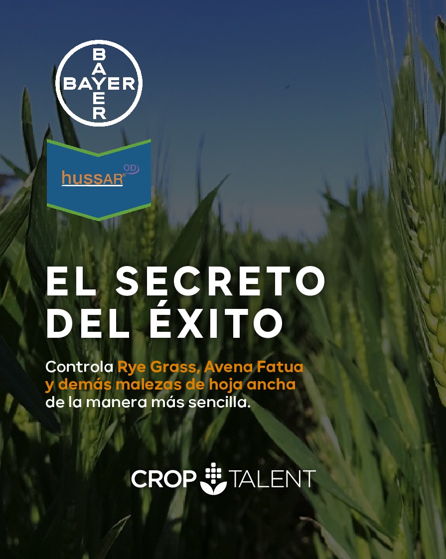 #Hussar 👉El secreto del éxito