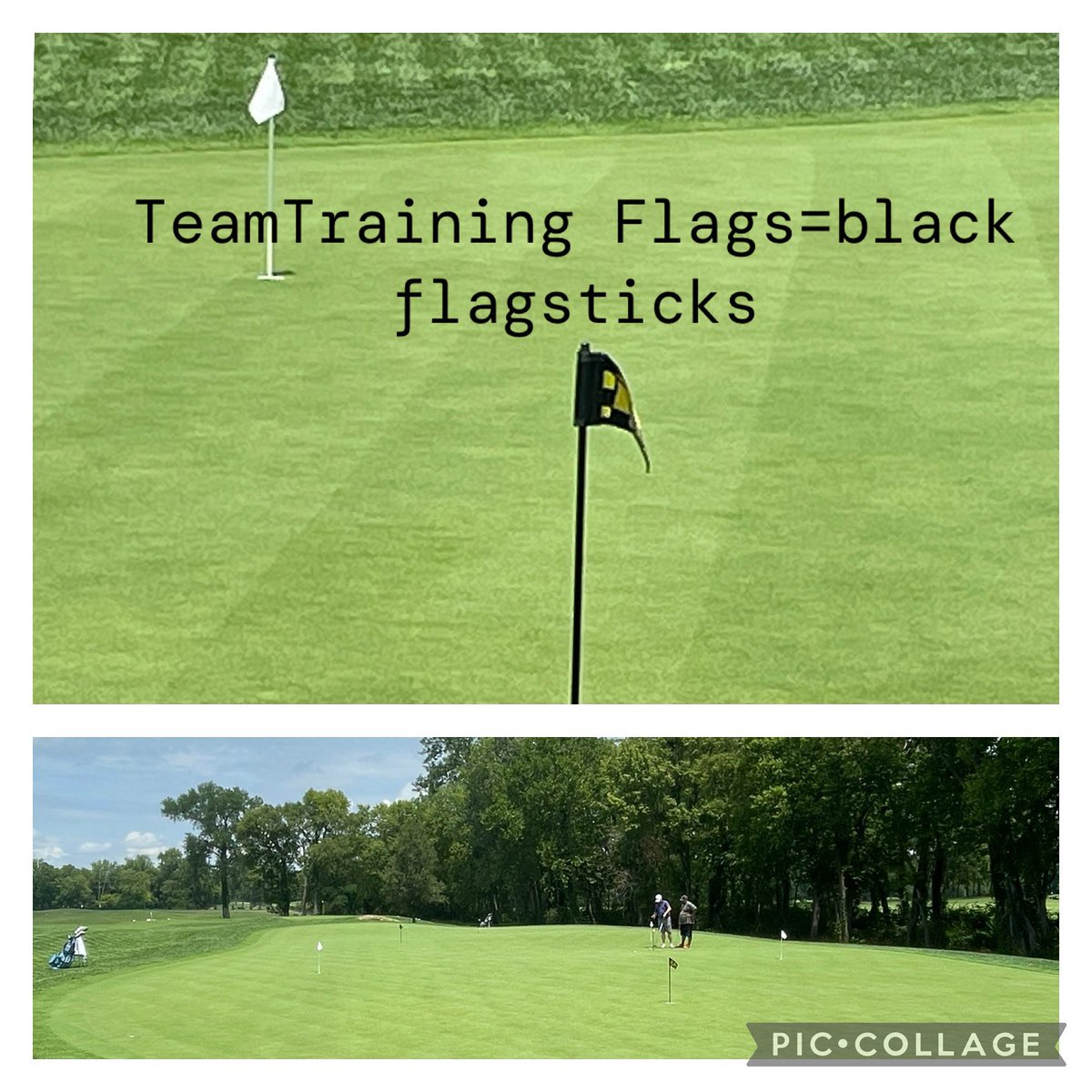 We upgraded our practice green to accommodate those preparing for the school season. We now have 8 hole locations, the black flagsticks are for individual training or team practices while the white are for daily public use . We appreciate your cooperation as we enhance for all.