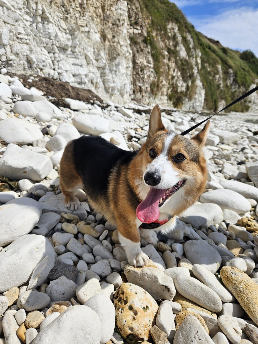 Edmund Hurst tweet media