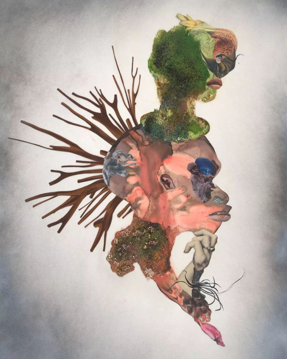 Tate's tweet image. #GetToKnow Kenyan-American artist, Wangechi Mutu. 🎨

Mutu’s elaborate figurative paintings incorporate collaged materials from a variety of sources including medical journals, ethnographic photo-essays, fashion, wildlife and pornographic magazines.

🧠 bit.ly/4c2ckHW