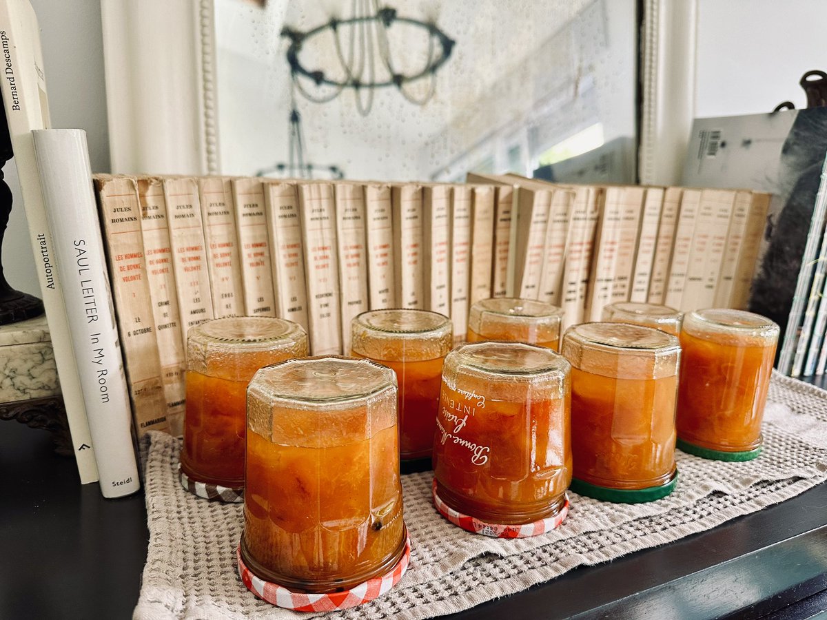 Les confitures à l envers et les hommes de bonne volonté à l endroit 
#homemade #confiture #litterrature #vacances
