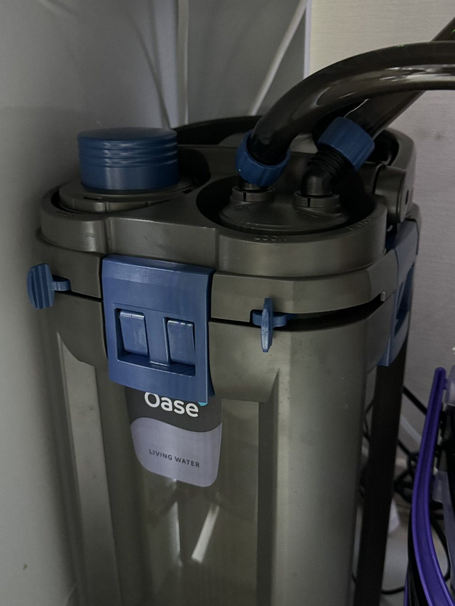 zebch0108's tweet image. 昨日今日は一日かけて全水槽のメンテ。
OASEのバイオマスターも昨晩取り付けてみた。写真や動画を撮り忘れたのが残念。というか取付やメンテで動画撮る余裕なし。
が、このバイオマスターマジで気に入りました。
思いついたことん徒然と書いておく。
#オアゼの快適アクアリウム
#oase
#バイオマスター