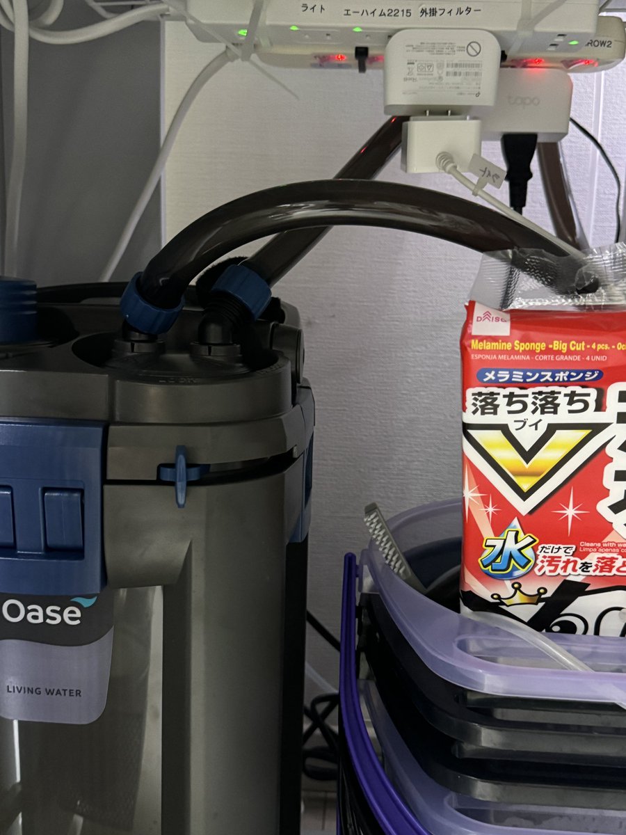 zebch0108's tweet image. 昨日今日は一日かけて全水槽のメンテ。
OASEのバイオマスターも昨晩取り付けてみた。写真や動画を撮り忘れたのが残念。というか取付やメンテで動画撮る余裕なし。
が、このバイオマスターマジで気に入りました。
思いついたことん徒然と書いておく。
#オアゼの快適アクアリウム
#oase
#バイオマスター