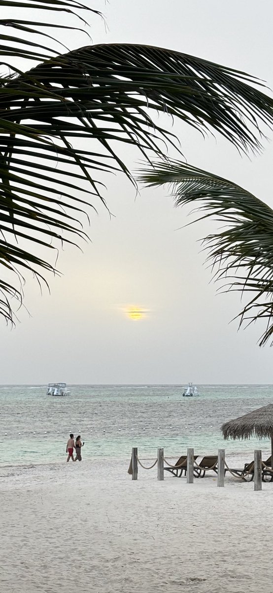 GirlDad BillMichael3 (@billmichael3) on Twitter photo 