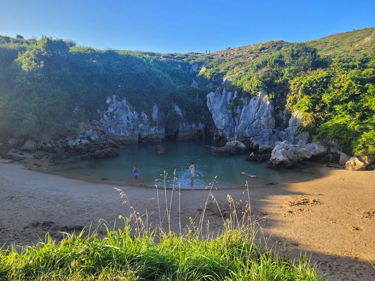 BarefootEm Swims tweet media