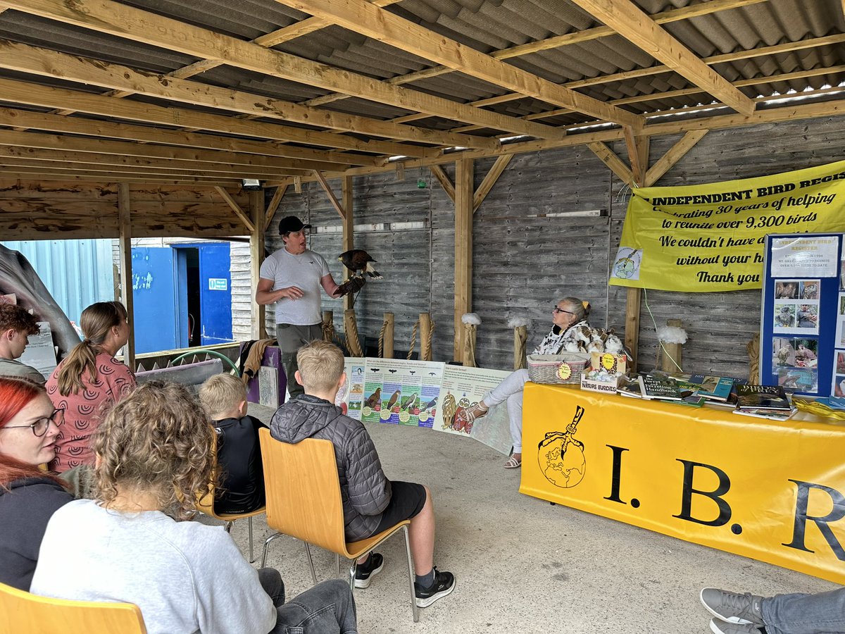 angleseyseazoo's tweet photo. Great turnout TODAY here at our Wales Conservation Festival🏴 🦅🦞#walesconservationfestival #strandline @SeaWatchersUK #wingsofwales #IndependentBirdRegister
Conservation activities, info stands & talks all day.Bird flying this afternoon with white-tailed eagle & Harris Hawk🦅 https://t.co/lTSwWSMxKE