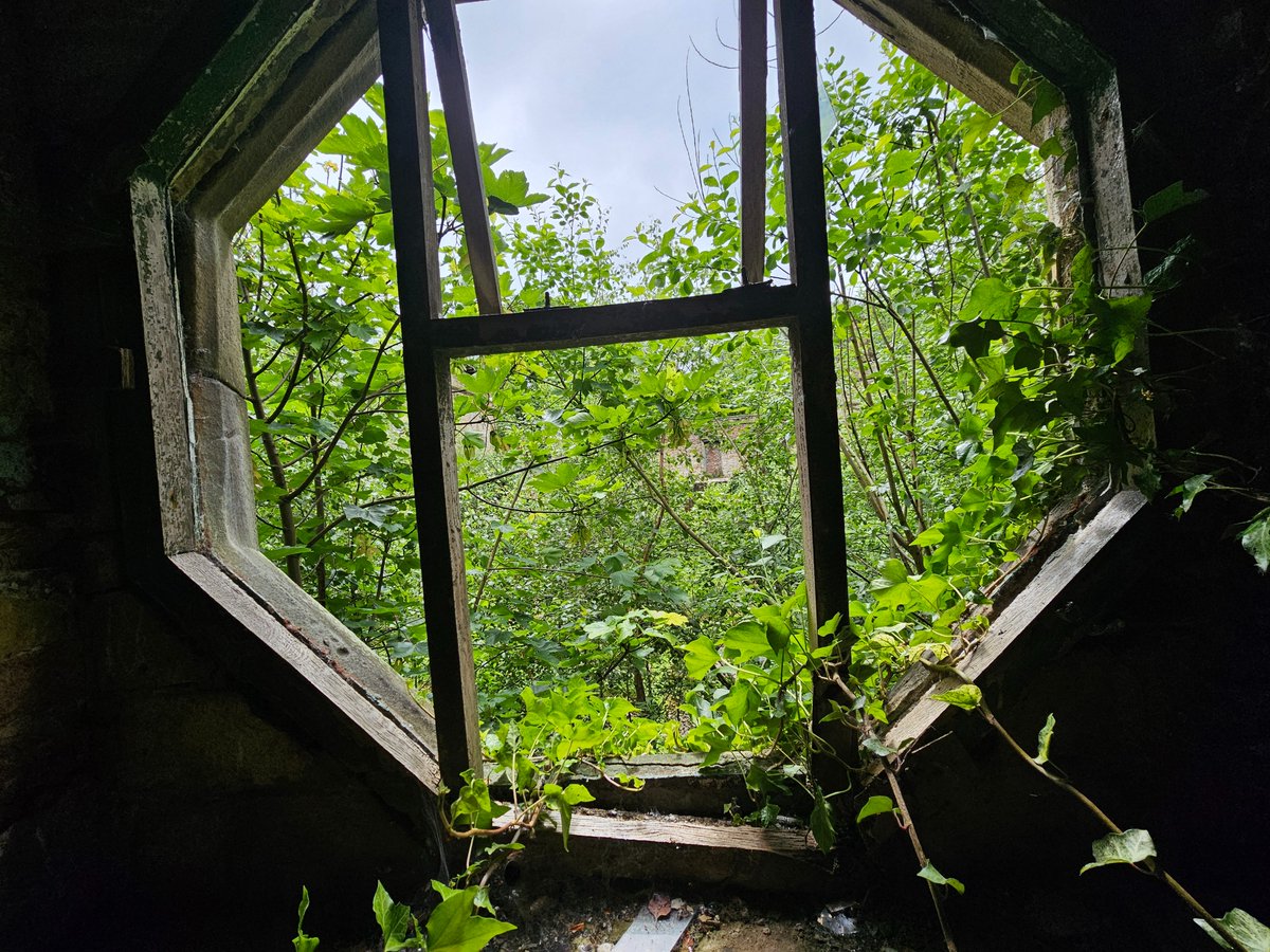 TheExploreFox's tweet photo. #Green #Nature #GoodMorning #urbanexploration #Abandoned  #Window #Life #GetOutside #Motivation #EXPLR https://t.co/JoDVqaHeQD