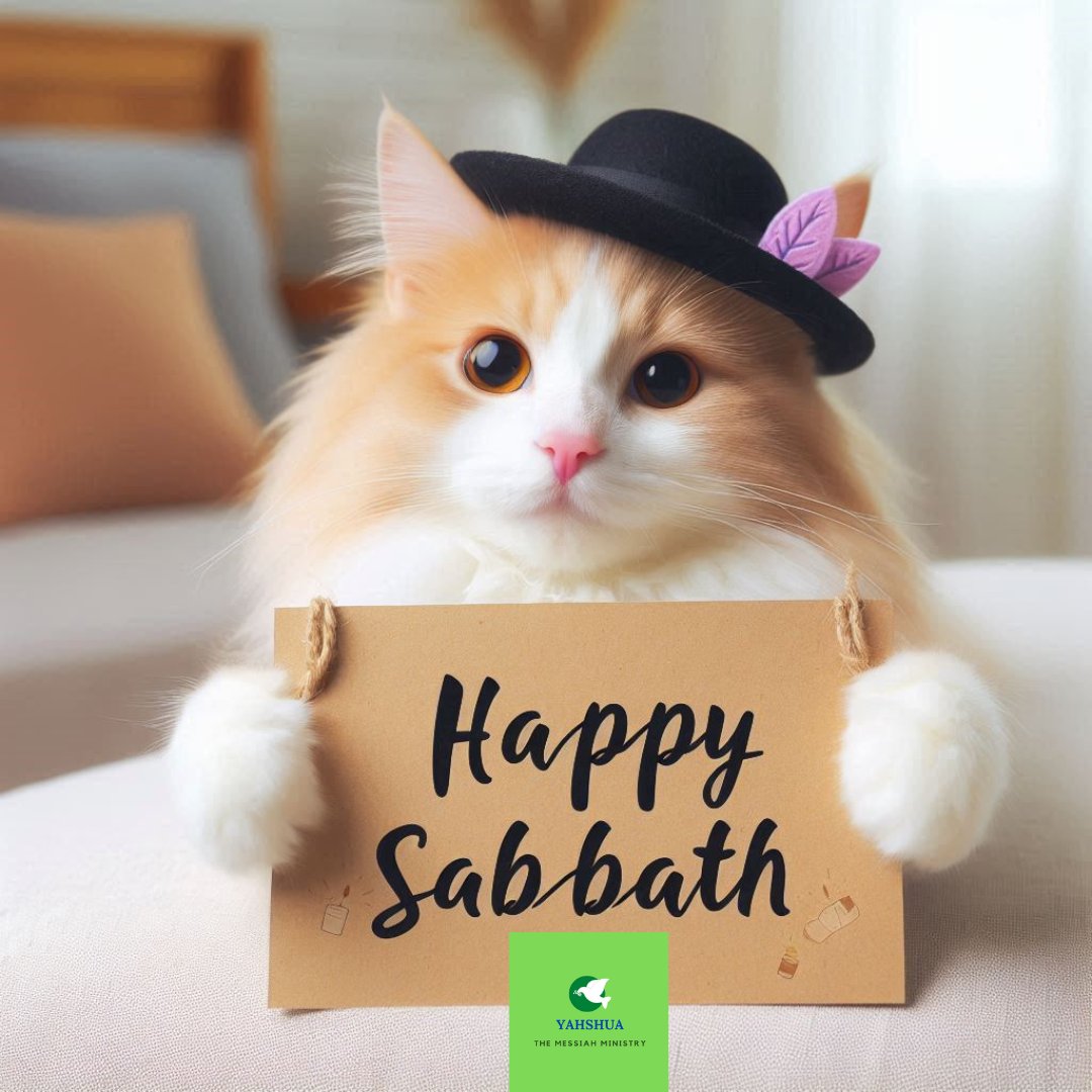 Happy Shabbat to all who observe this sacred day of worship &amp; rest. Read or listen to our crucial Sabbath message at --> tinyurl.com/5t4tpwkh 🙏 😃 #SaturdayVibes #SaturdayMotivation #SaturdayMorning