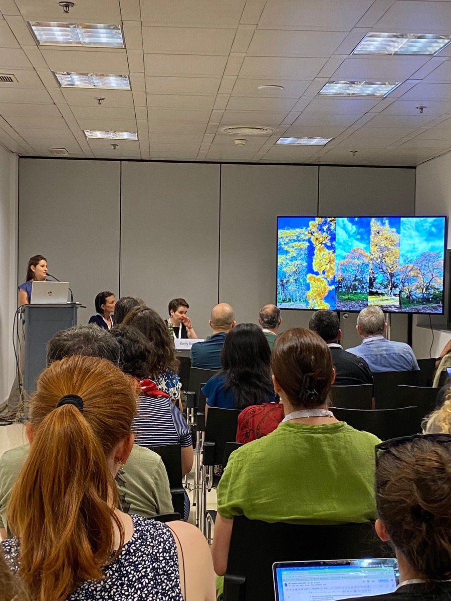 JBGP_Cartagena's tweet photo. Cerramos la participación en #IBC2024 con la presentación oral y póster de nuestra jefe de horticultura @mariapcong sobre conservación de especies amenazadas del Caribe colombiano.
#fondationfranklinia @bgci https://t.co/2zrehFpxDq