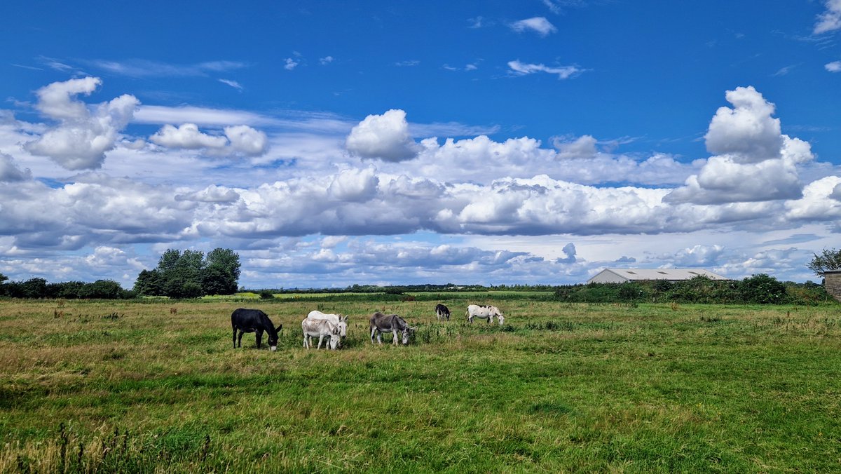 Beautiful day in Skegness today  <a href="/bbcweather/">BBC Weather</a> @bbcweatherwatchers <a href="/BBCLookNorth/">BBC Yorkshire</a>  <a href="/SkegStandard/">Skegness Standard</a>