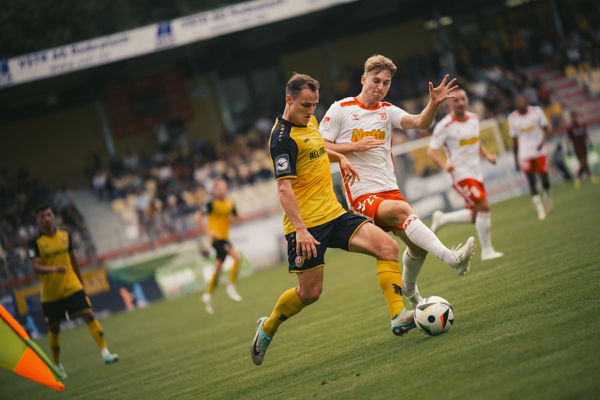 SG Dynamo Dresden tweet media