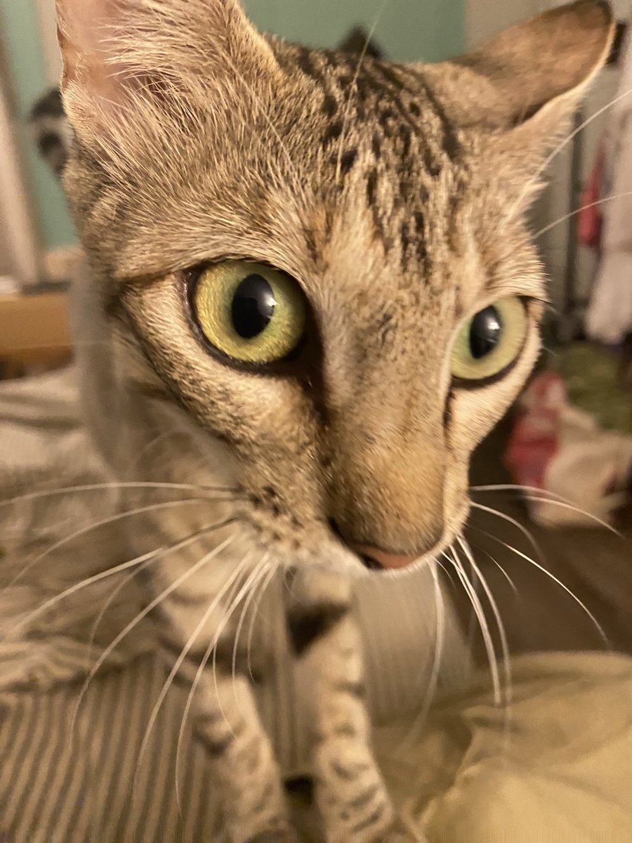 Shannon Minter tweet media