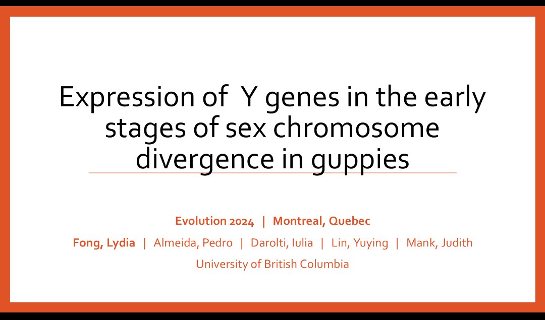 Excited for #Evol2024 !
I'll be presenting some fun stuff on sex chromosomes in guppies @ 10am 520F today (Saturday)!!! Come check out whY guppies are the best 😉