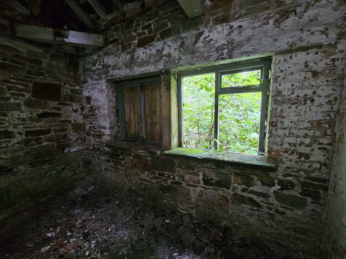 TheExploreFox's tweet photo. #urbanexploration #exploration #Abandoned #Window #Life #Nature #Retake #photographer #Photo #Share #Piture #Decay #Old https://t.co/M6B5k9PEKY