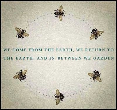 LeshlySpirit's tweet photo. I am honestly getting more and more obsessed with bees. They are just so fluffy and cute!! I love them!!

#Bees #SafeTheBees #VtuberEN #Vtuber https://t.co/2ZthzdYsw6