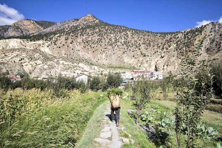 DhakalSaurav's tweet photo. मुस्ताङ स्याउ  काठमाडाै पूग्न त दशै लाग्छ । 
मुस्ताङकाे टुक्चे ब्रान्डि चाख्ने भए चाहि गत बर्ष कै छ रे।  
गुगल फर्म भर्न सिफारीस गर्दछु ।  https://t.co/AH5oFxOeF6 #Apple https://t.co/OA8Mon8L3h