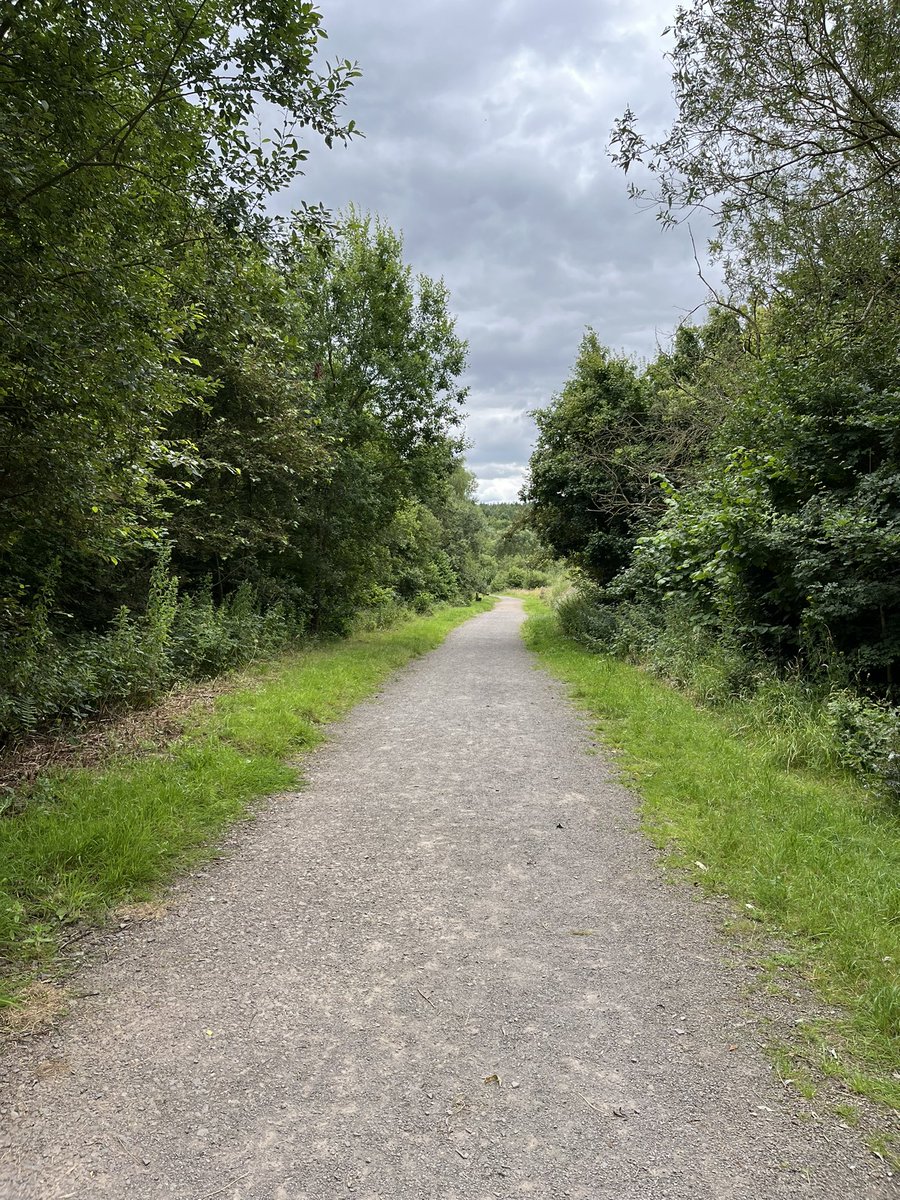 It’s #LoveParksWeek so we are out errr….. on a park! #loveparks #dachshund #nature #cake