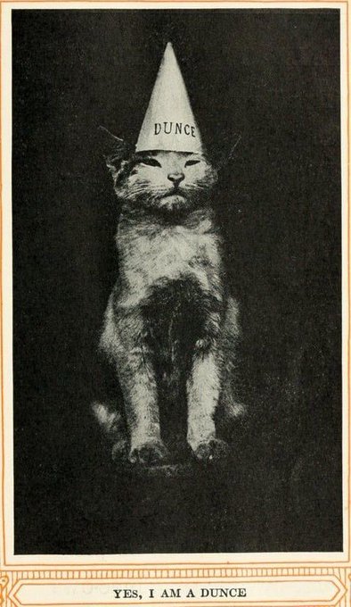 Me https://t.co/yun6EjEakI