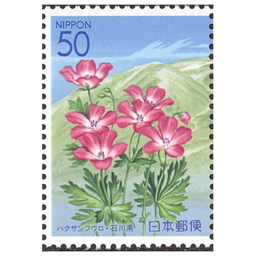 今日7月27日の誕生花は、「フウロソウ」で花言葉は「変わらぬ信頼