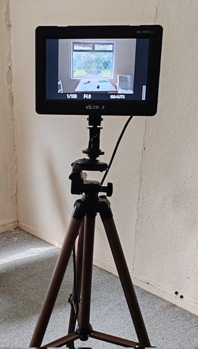 Andrea Rose tweet media