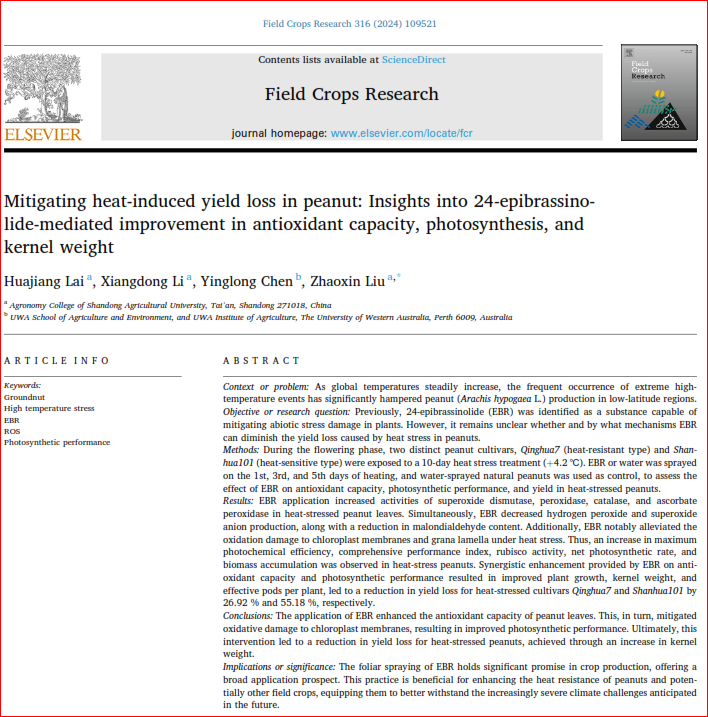 Chen_yinglong's tweet photo. Our new research shows #epibrassinolide mitigates #peroxidation damage caused by #ROS accumulation to chloroplast membrane and grana lamella in #heat-stressed #peanut plants
https://t.co/4icqRf3949
@sciencedirect @ElsevierConnect @UWAresearch @IOA_UWA @SAgE_UWA @Stressed_plants https://t.co/6Qp1Wj4282