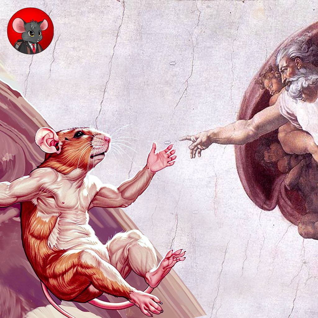 Rats on SOL tweet media