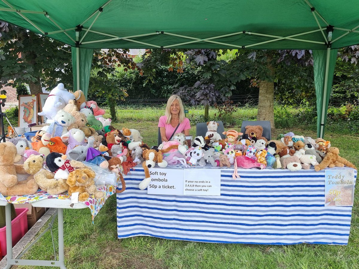 Harnham fun day &amp; fete is underway, 2-5pm on the field &amp; inside the hall on Lower Street, by St. George's Church