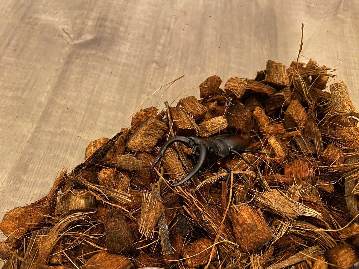 今日も元気です！！！