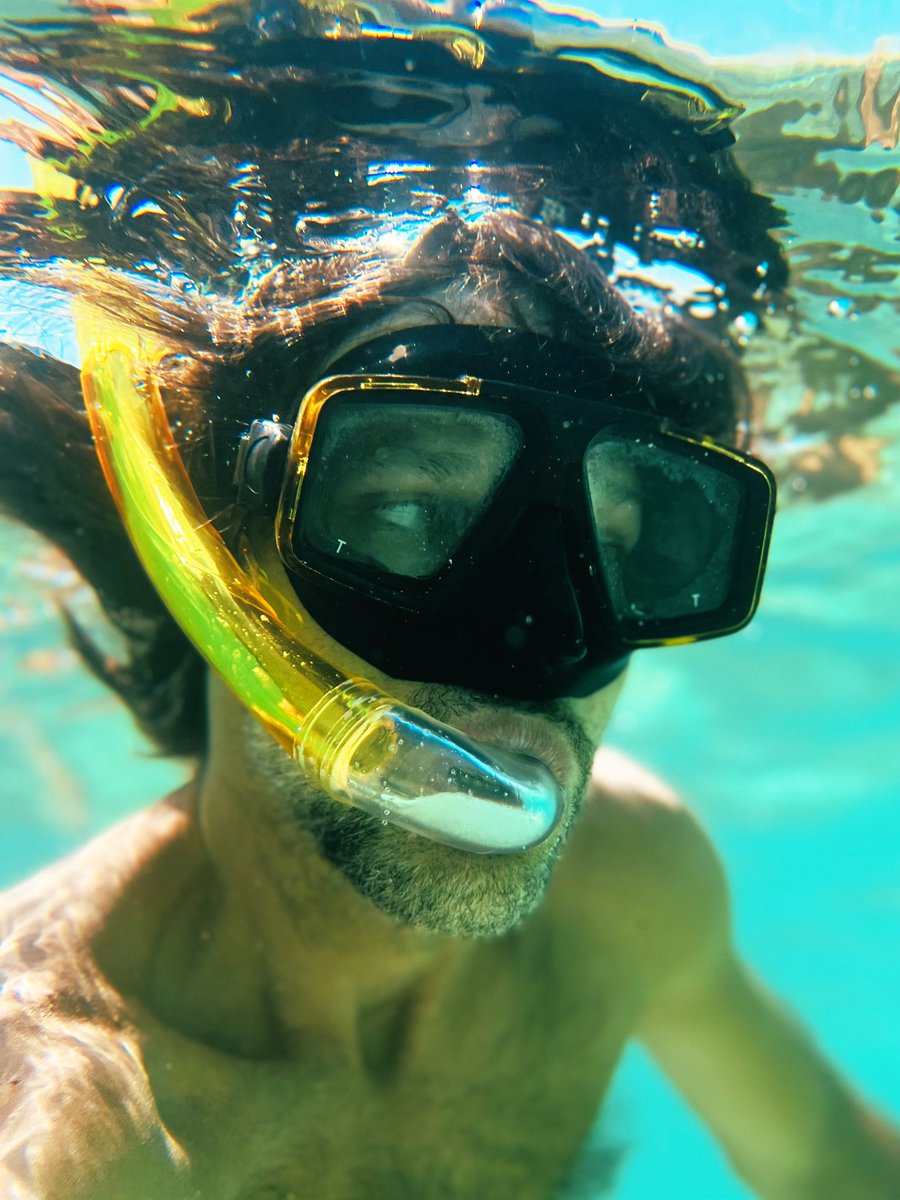 Dario De Siena - 💎🫵😹🐸 tweet media