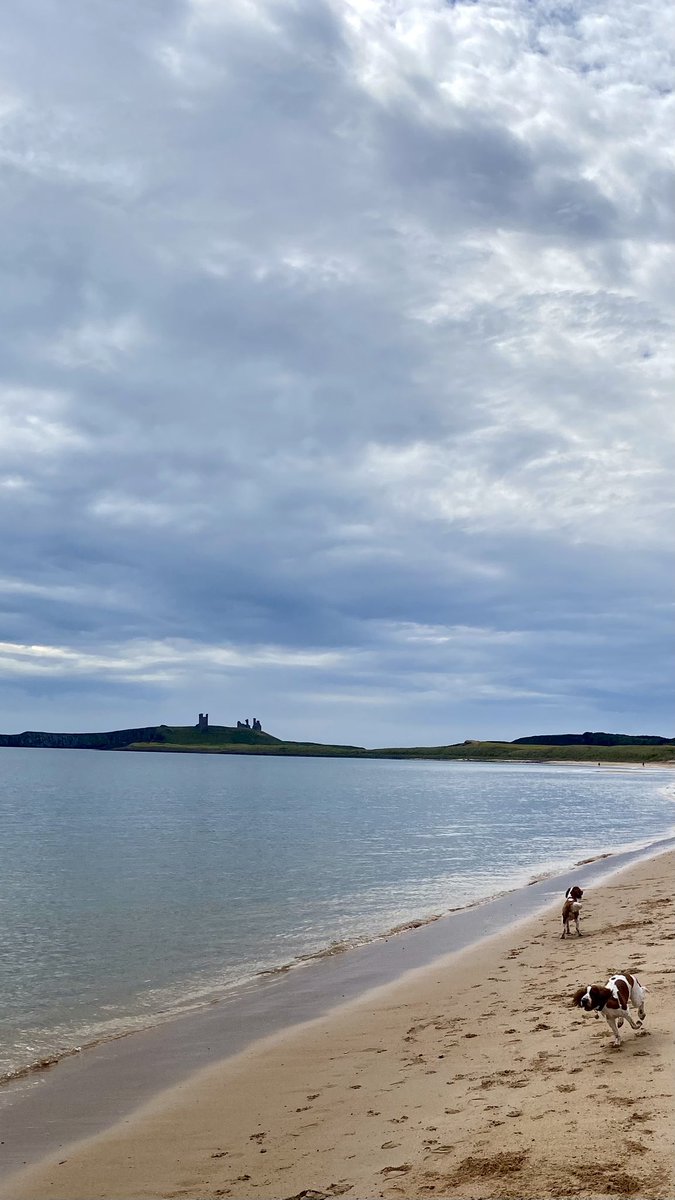 John Manson-Kullin tweet media