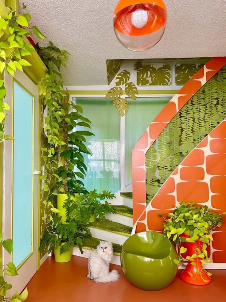 Rock-N-Wash™ tweet media