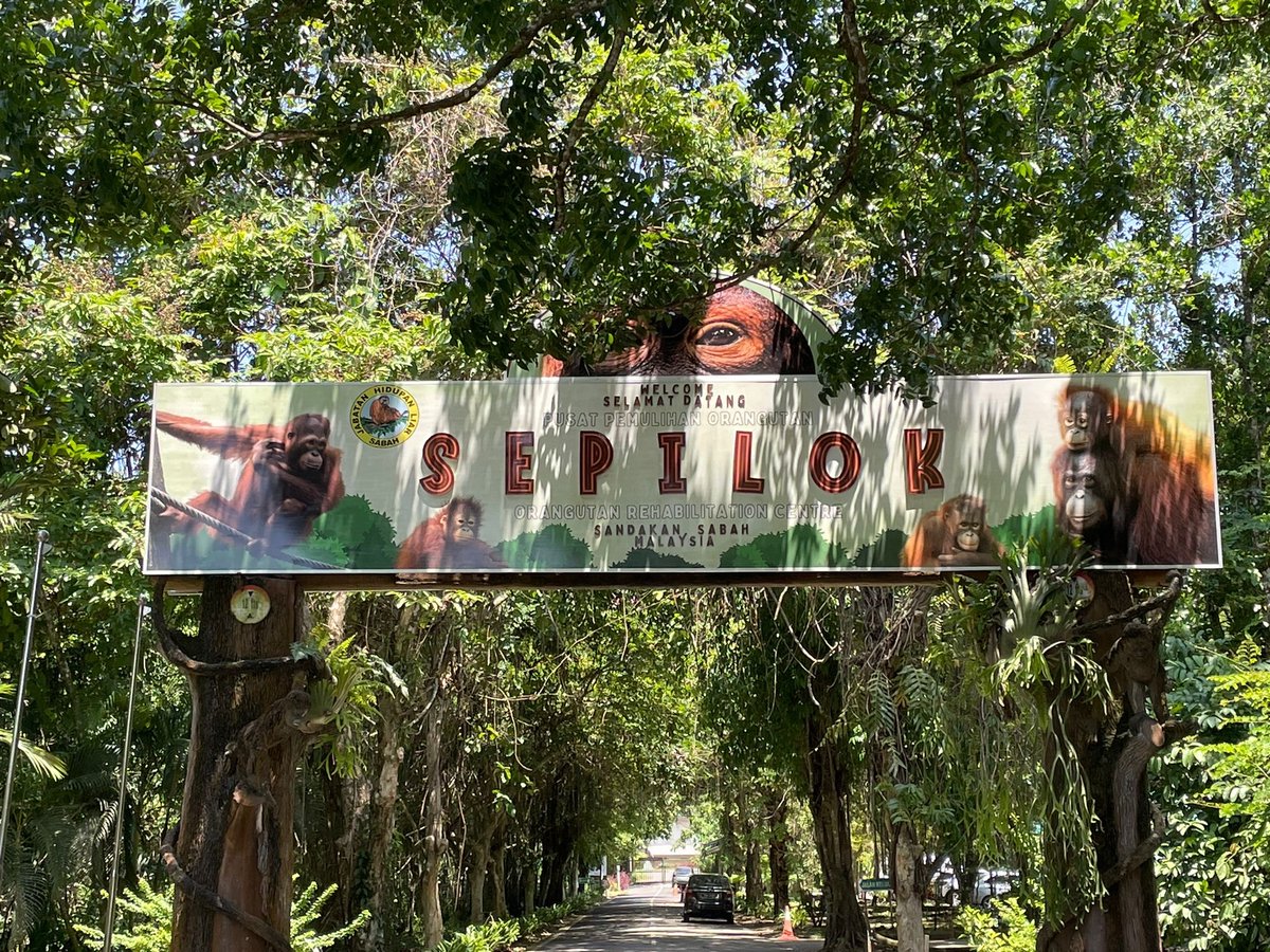 Visit to the sun bear conservation area #Borneo