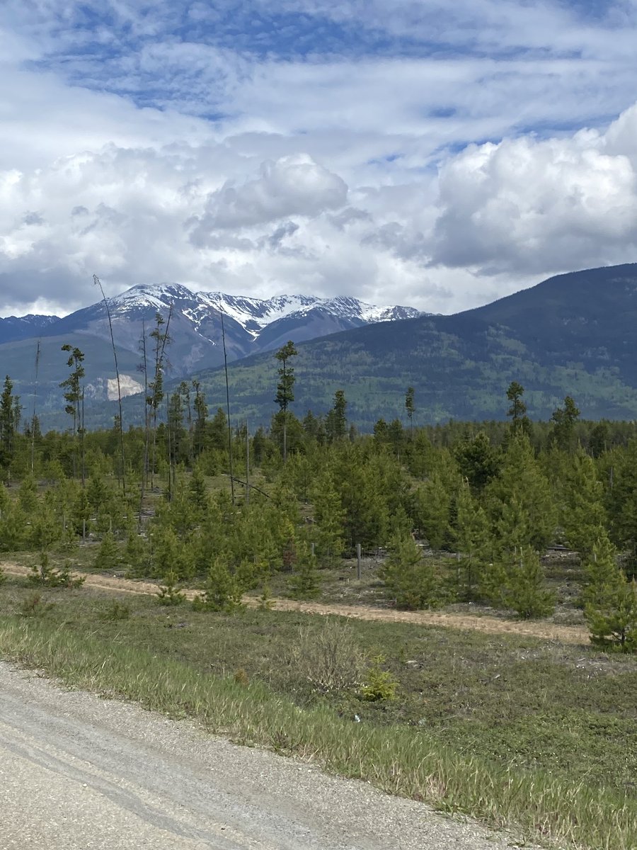 shirleybond's tweet image. The impacts of the #JasperWildfire will be felt for a long time.  While Highway 16 remains closed east bound from Mount Robson, local businesses and tourism operations remain open in the Robson Valley Region, including in #Valemount #McBride #Dunster, #DomeCreek #TeteJaune.…