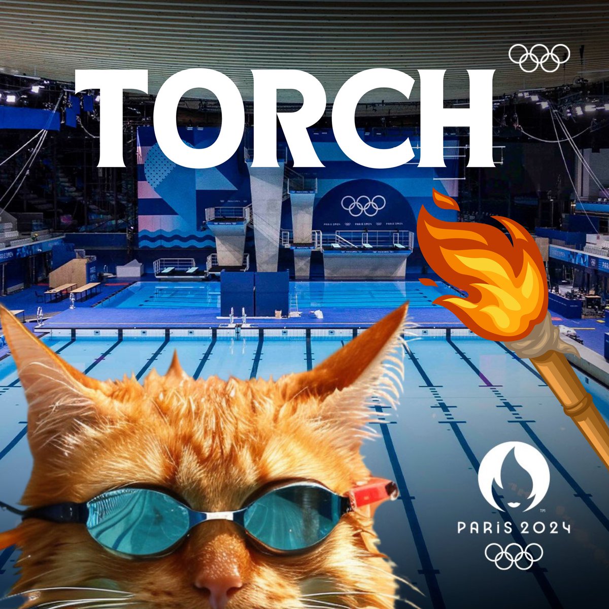 Cat Solympics is all about swimming while purring. We swimming to the top

 $TORCH #OlympicGamesParis2024 

pump.fun/5JjT4P7Y4zVVsX…