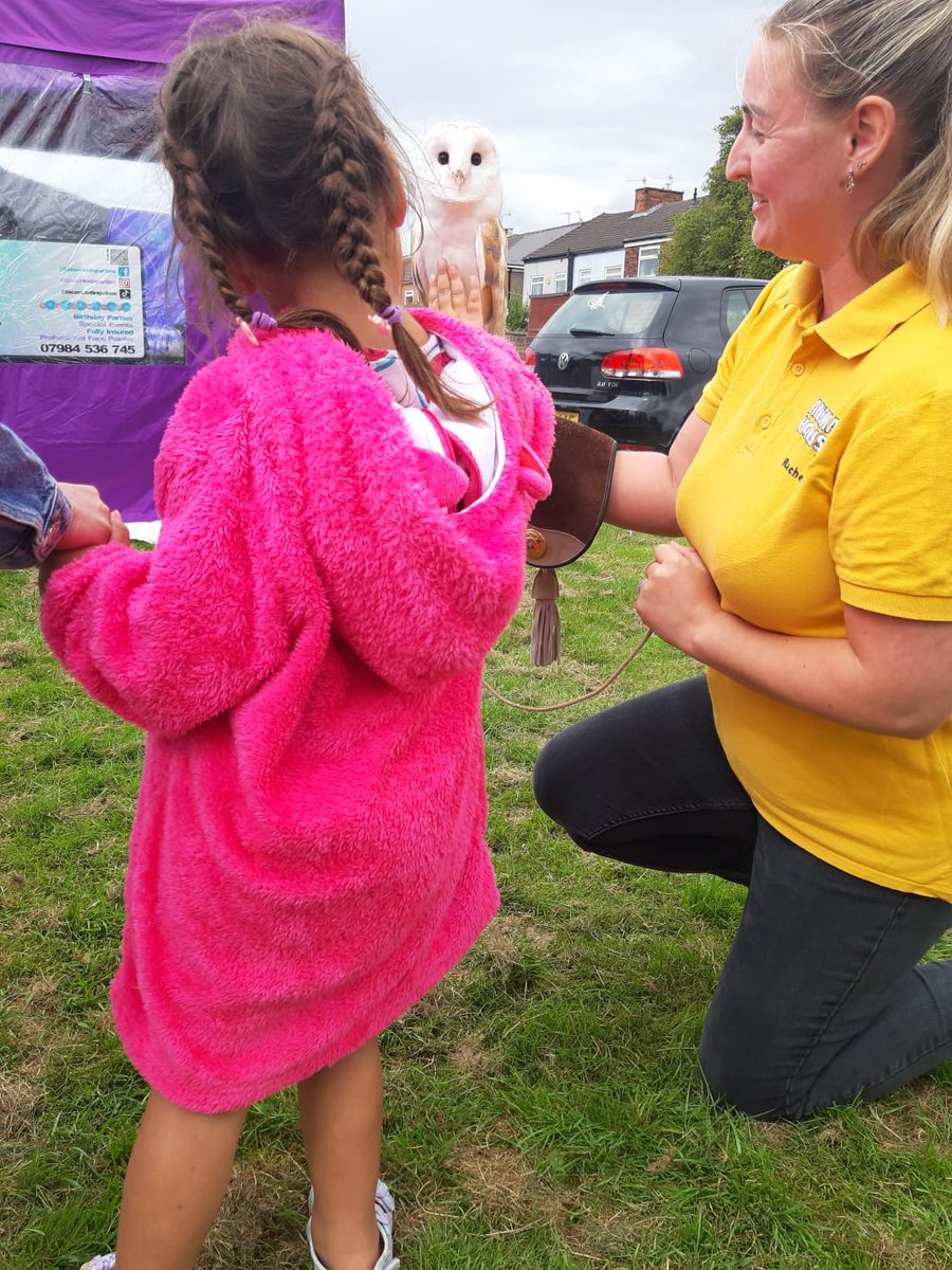 Vic Castelluccio tweet media