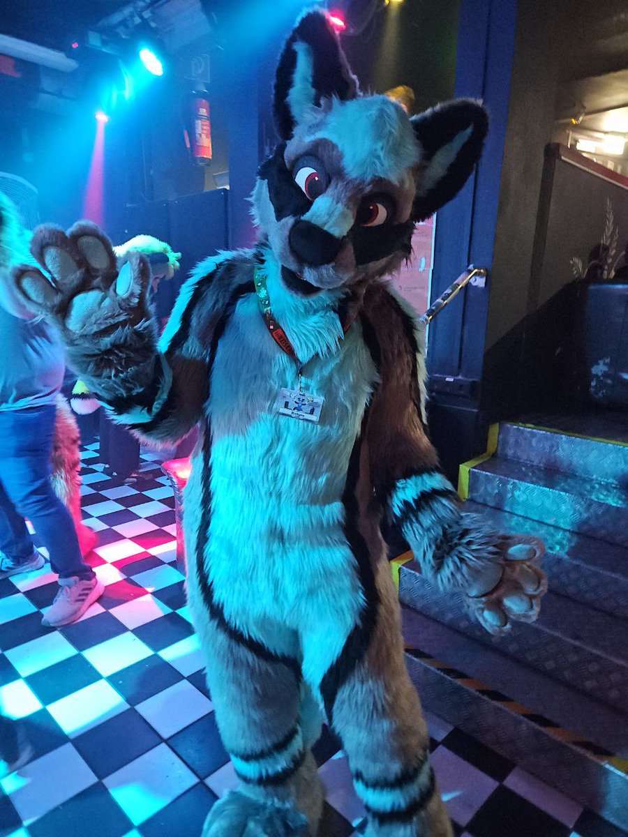 Katyro 🦊🔜 NFC 🔜 FWA (@katyrofox) on Twitter photo First time wearing my new fullsuit completely.
What do you think of my new look?
✂️ - <a href="/FursuitsByLacy/">Fursuits By Lacy</a> First time wearing my new fullsuit completely.
What do you think of my new look?
✂️ - <a href="/FursuitsByLacy/">Fursuits By Lacy</a>