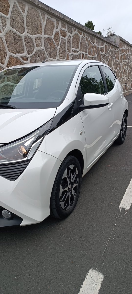 trintaxenario's tweet image. El tamagochi de la copa también se lava #aygo