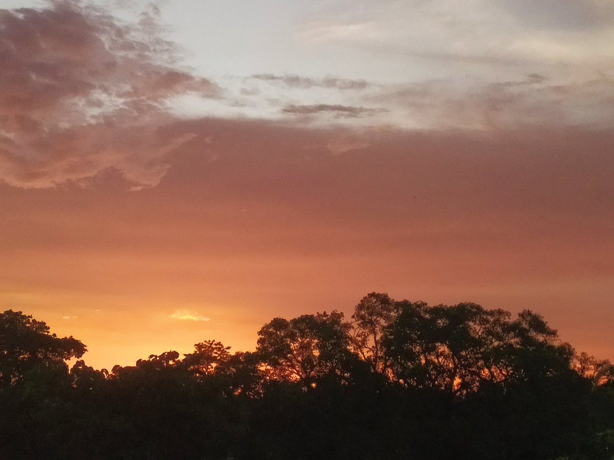 Behlzhi's tweet photo. Evening https://t.co/oCsRVoS1Hr