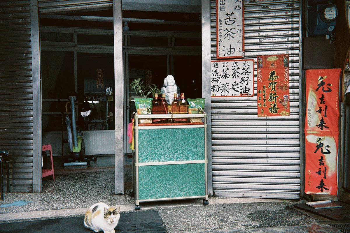 Ramimo77's tweet image. ねこねこ